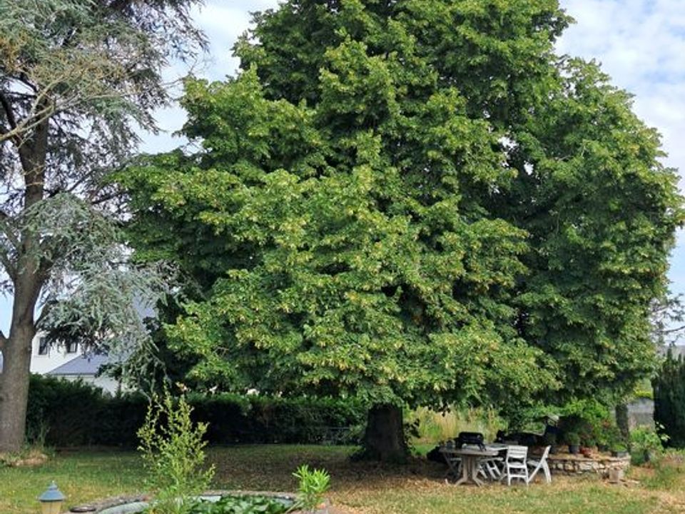 Estudi a Mettray, Indre-et-Loire - foto 2