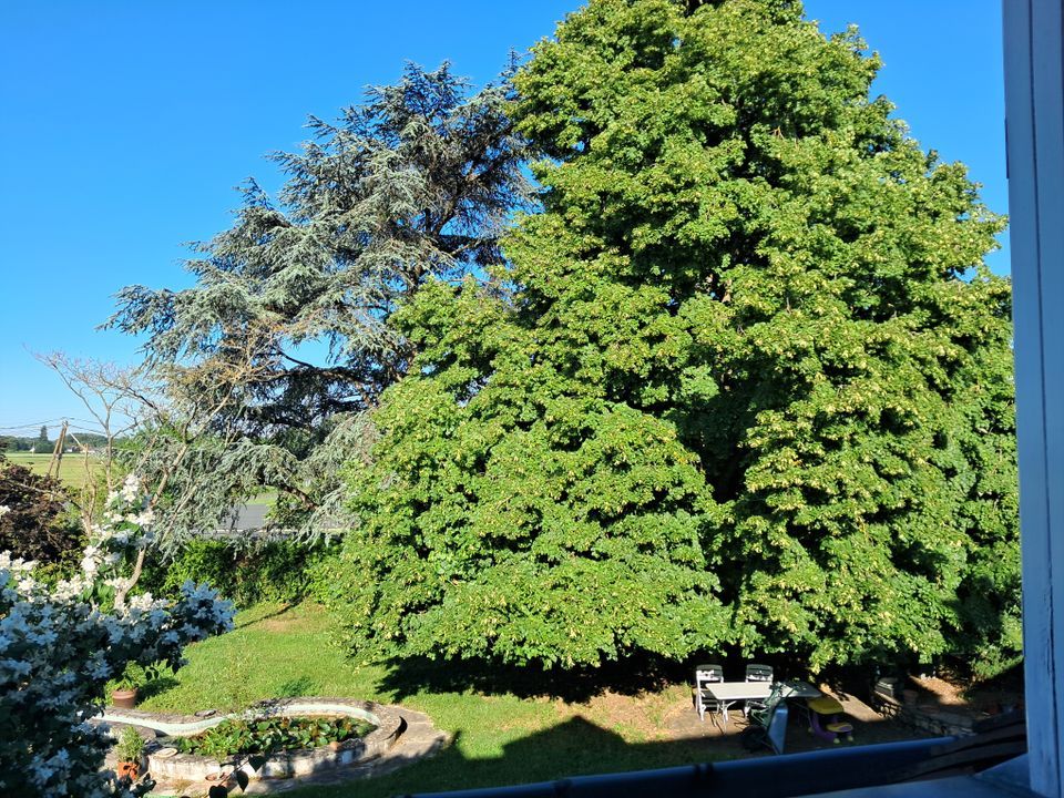 Estudi a Mettray, Indre-et-Loire - foto 4
