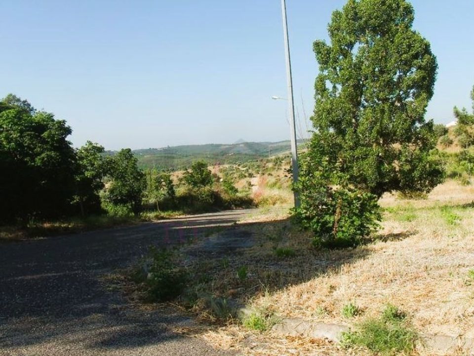Helårsgrund i Abrantes, Santarem - foto 4
