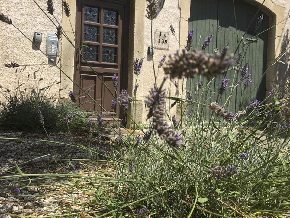 Estudi a Carcassonne, Aude - foto 1