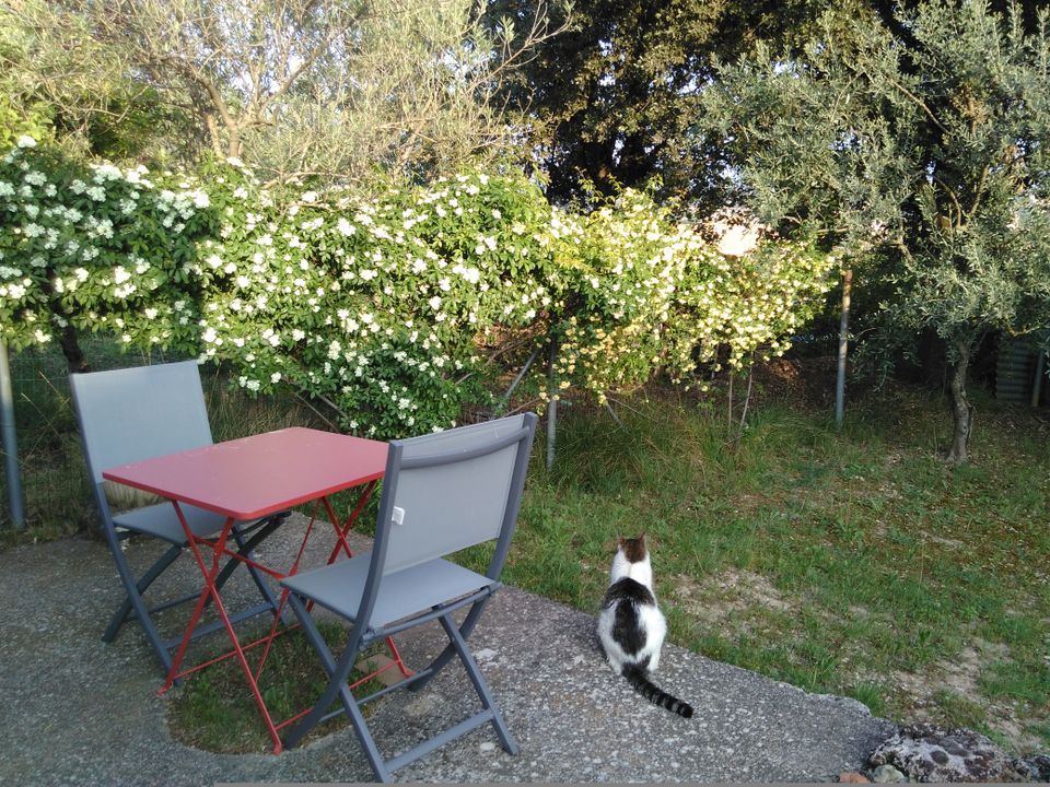 Apartament a Pertuis, Vaucluse - foto 4