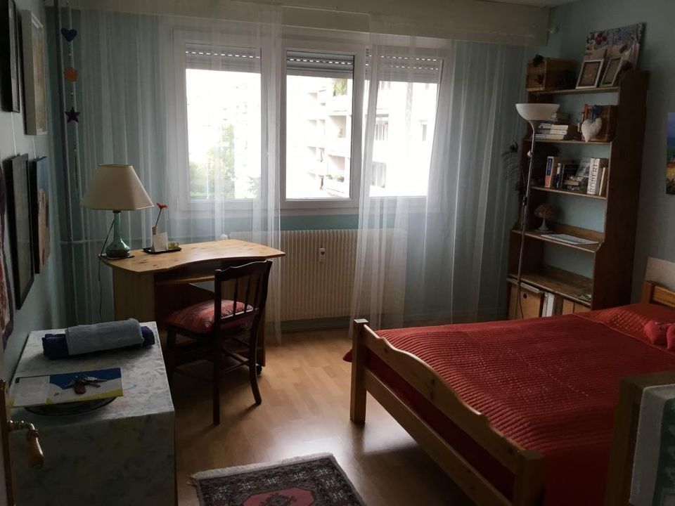 Studio i Strasbourg, Bas-Rhin - foto 5