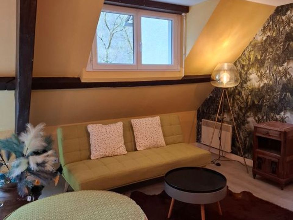 Studio i Cassaniouze, Cantal - foto 1