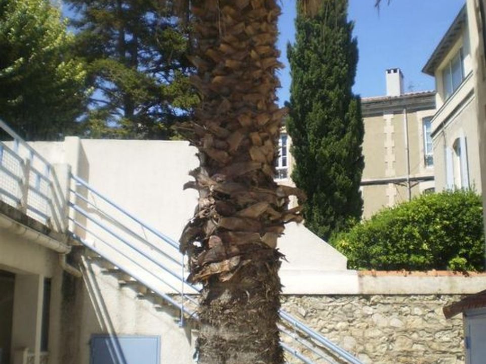 Studio i Nimes, Gard - bilde 3
