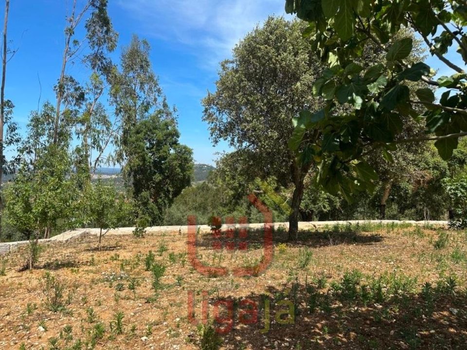 Erhvervsejendom i Ourem, Santarem - foto 4