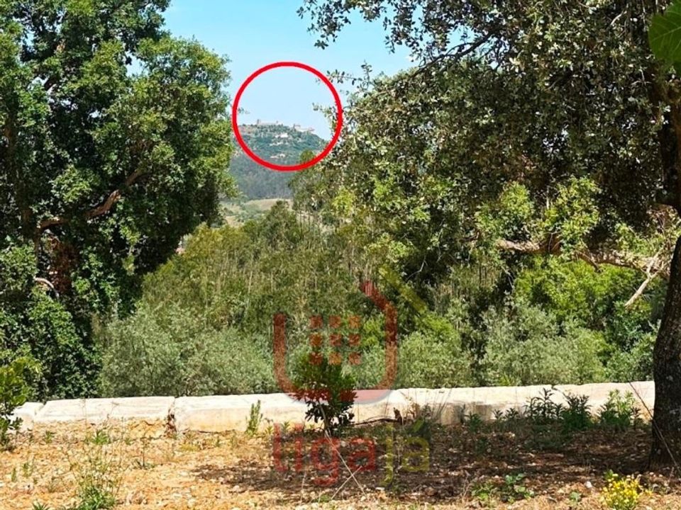 Erhvervsejendom i Ourem, Santarem - foto 5