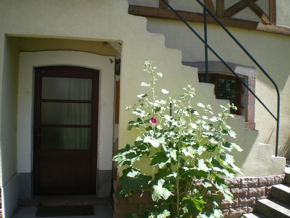 Estudi a Colmar, Haut-Rhin - foto 3