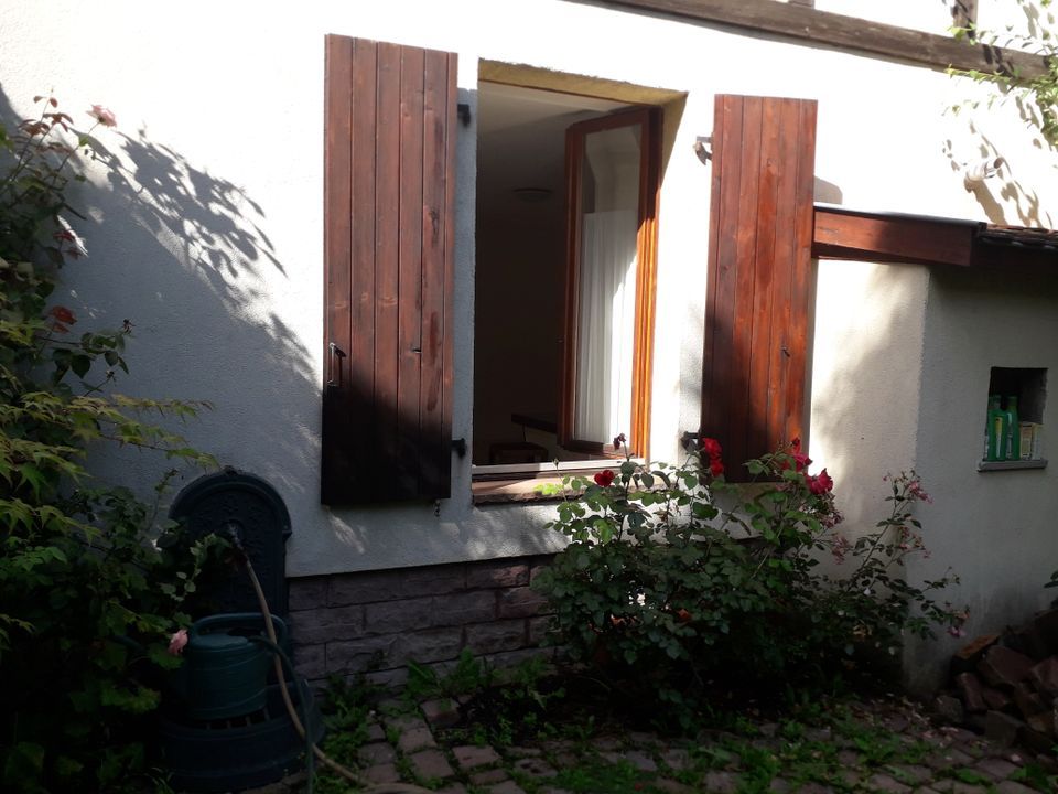 Estudi a Colmar, Haut-Rhin - foto 4
