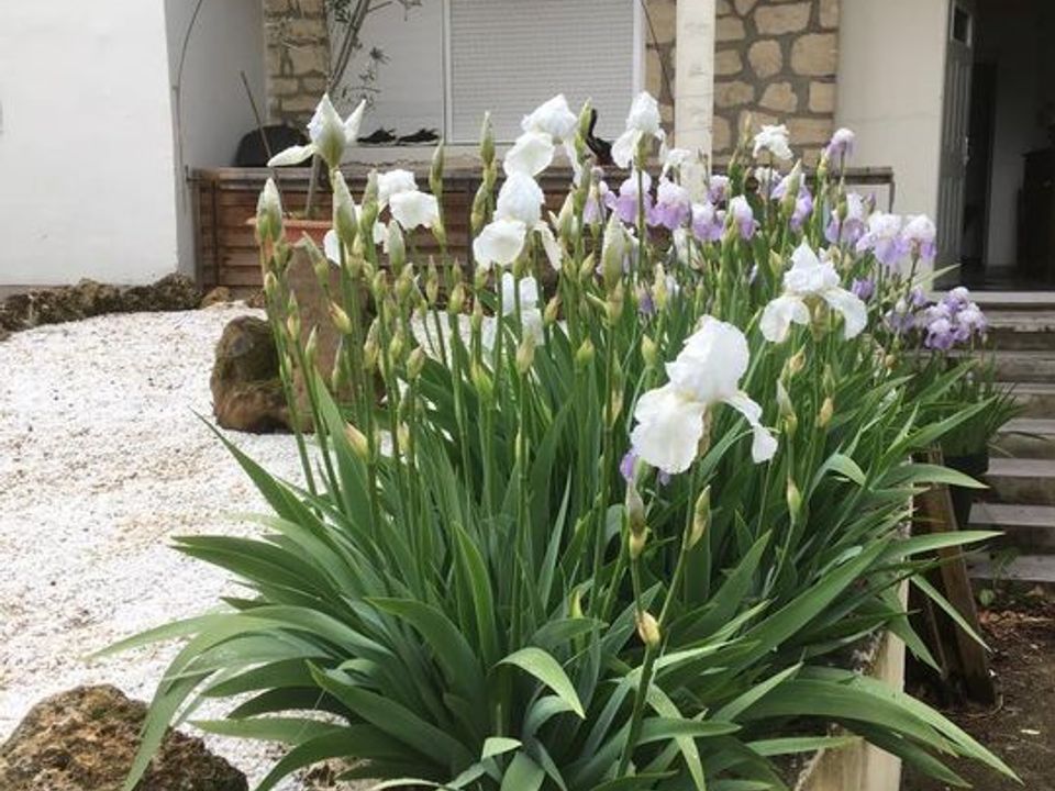 1-Zimmerwohnung in Montmorency, Val-d'Oise - Foto 5