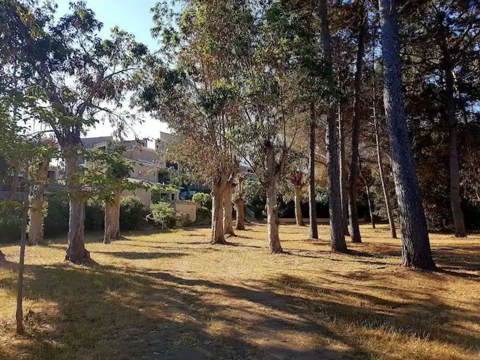 Studio i Calcatoggio, Corse-du-Sud - foto 2