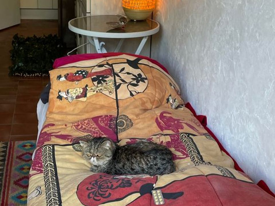 Studio i Calcatoggio, Corse-du-Sud - foto 3