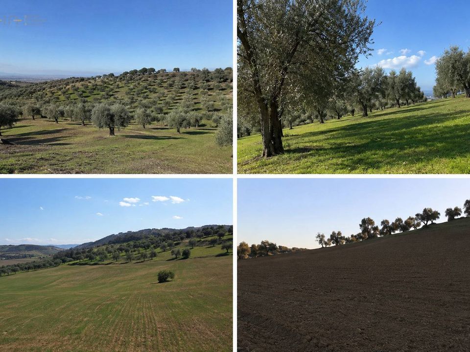 Terreno en Tortoreto, Teramo - foto 1