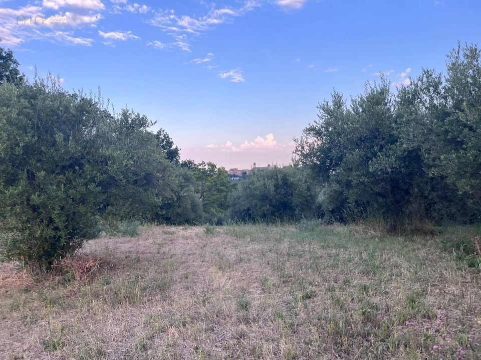 Terreno en Tortoreto, Teramo - foto 3
