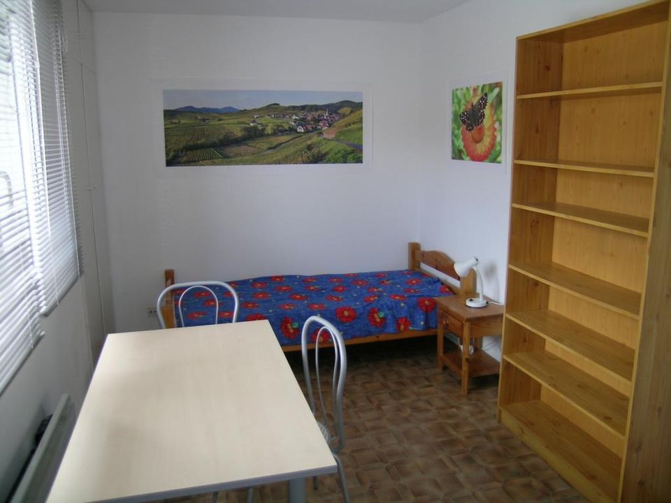 Studio i Strasbourg, Bas-Rhin - foto 1