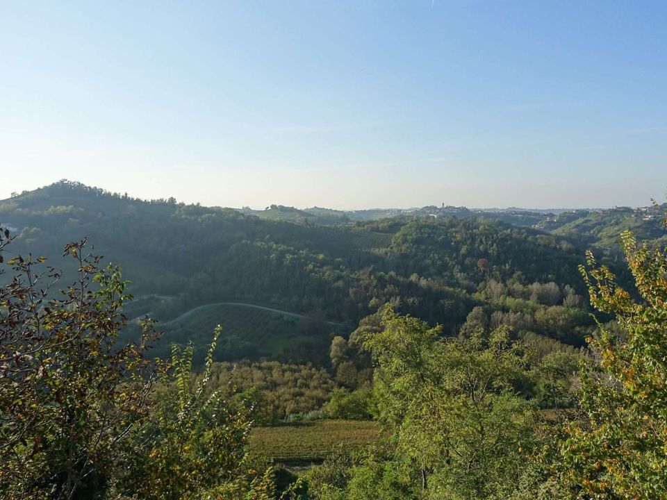 Masia a Vaglio Serra, Asti - foto 3