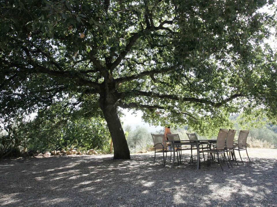Farm hus i Gavorrano, Grosseto - foto 5