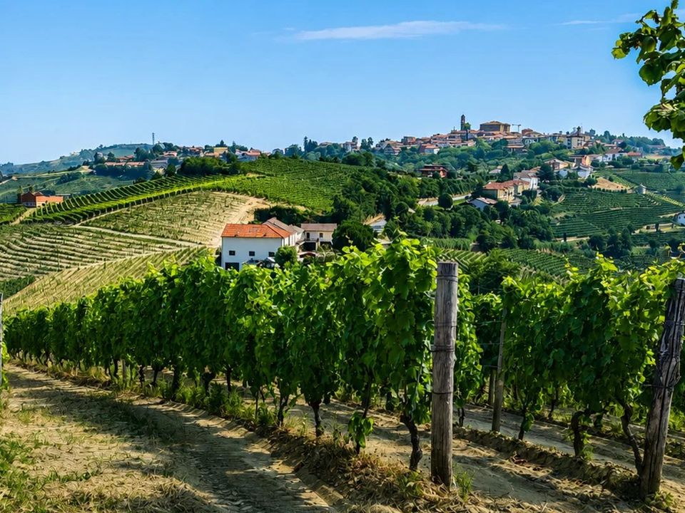 Villa em Mango, Cuneo - foto 2