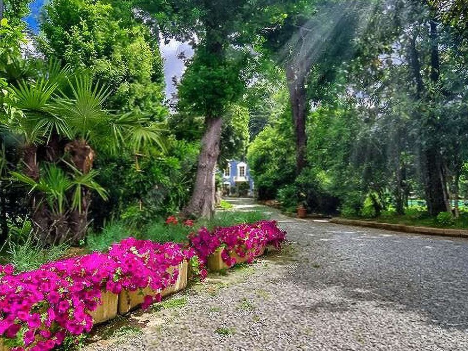 Villa a Capannori, Lucca - foto 4