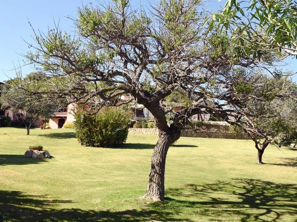 Villa i Arzachena, Sassari - foto 4