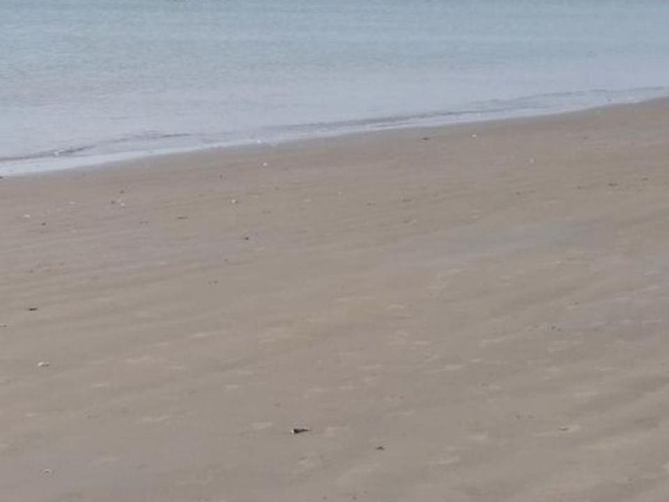 Lejlighed i Saint-Georges-de-Didonne, Charente-Maritime - foto 1