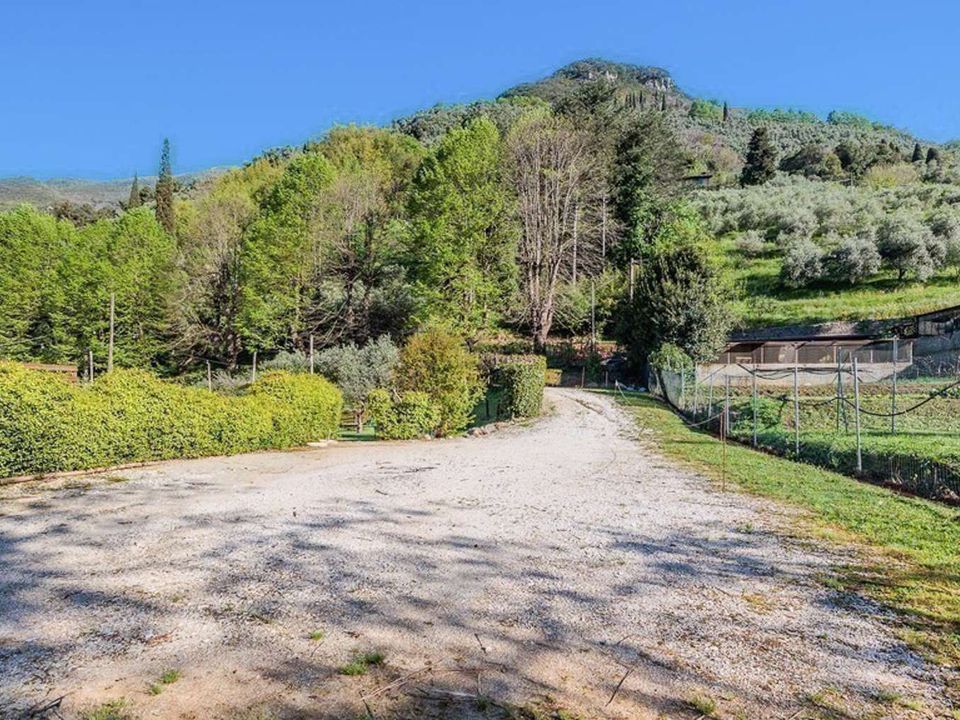Farm hus i Camaiore, Lucca - foto 3