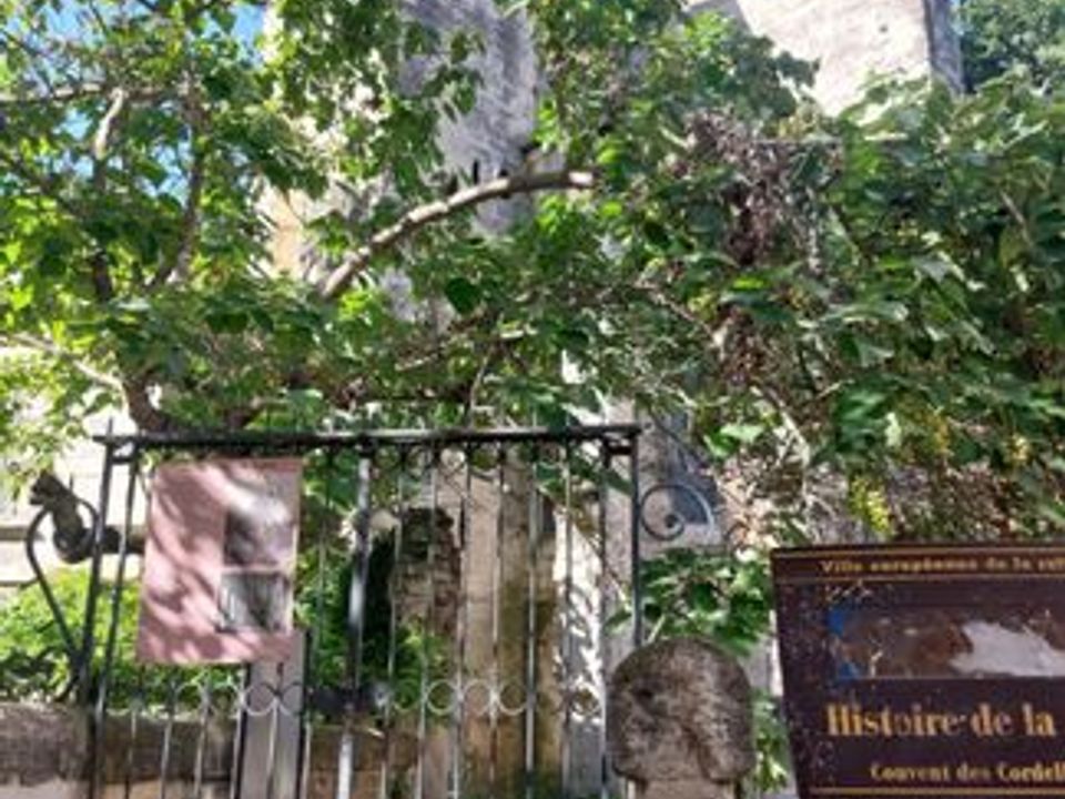 Estudi a Avignon, Vaucluse - foto 1
