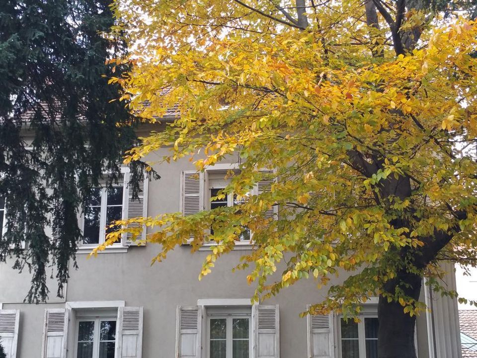 Wohnung in Mulhouse, Haut-Rhin - Foto 1