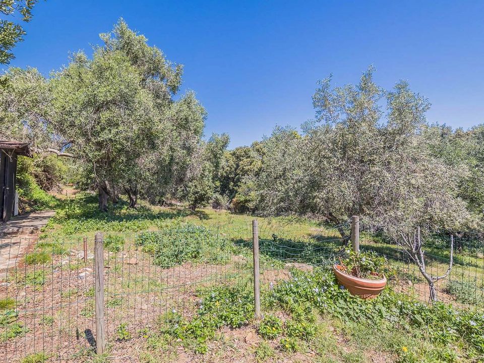 Farm hus i Marciana Marina, Livorno - foto 4