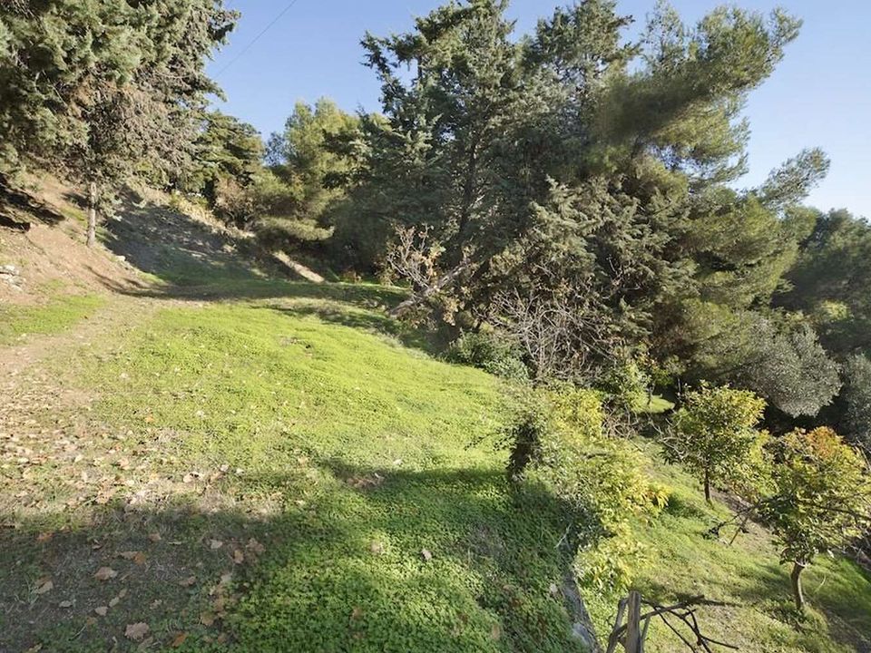 Villa in Alassio, Savona - foto 4