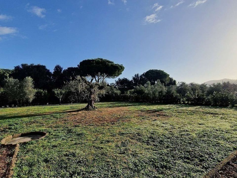 Villa in Castagneto Carducci, Livorno - foto 3