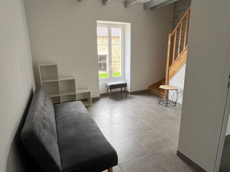 Villa i Journet, Vienne - foto 4