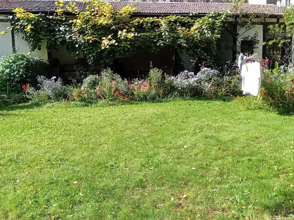 Apartament a Colmar, Haut-Rhin - foto 5