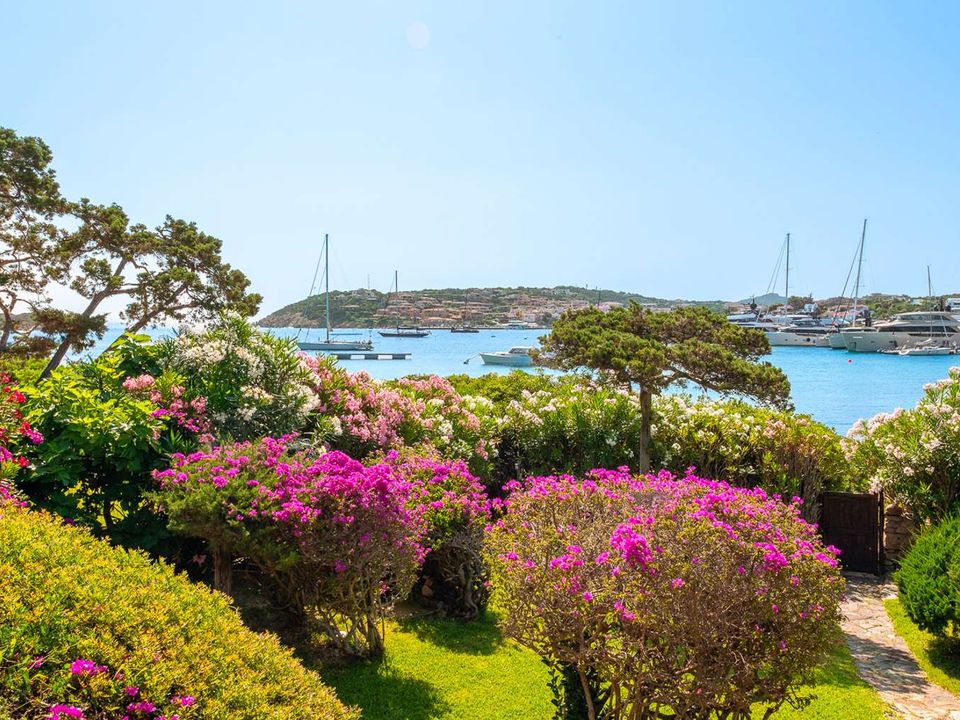 Villa i Porto Cervo, Olbia Tempio - bilde 5