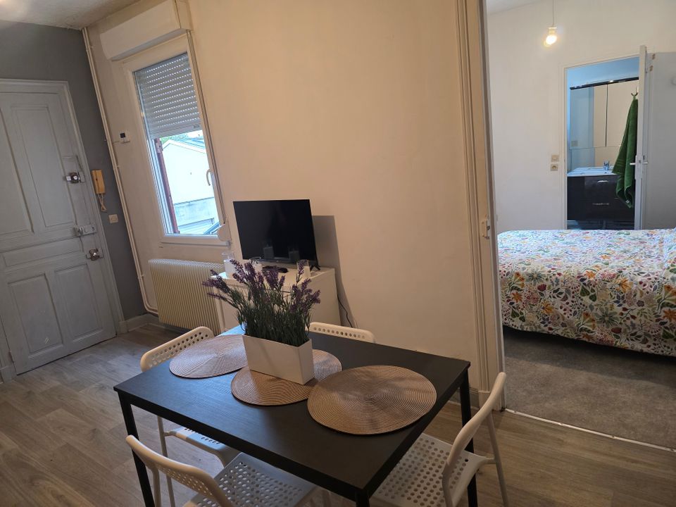 Apartment in Reims, Marne - photo 4