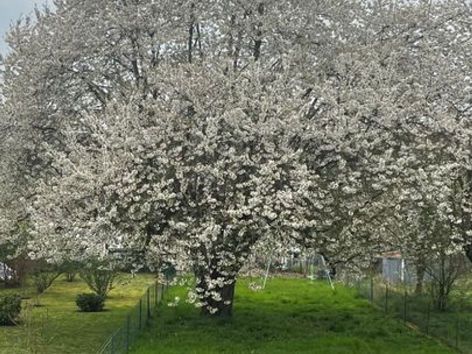 Villa i L'Hôpital, Moselle - bilde 2