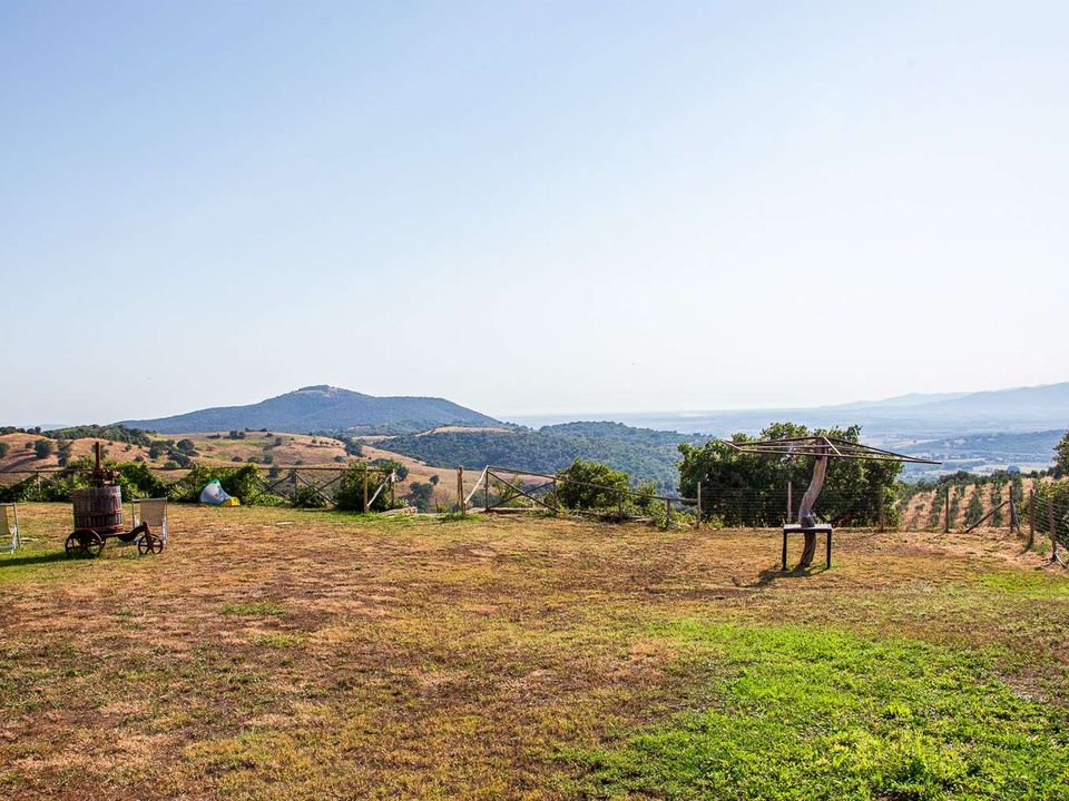 Villa a Campagnatico, Grosseto - foto 3