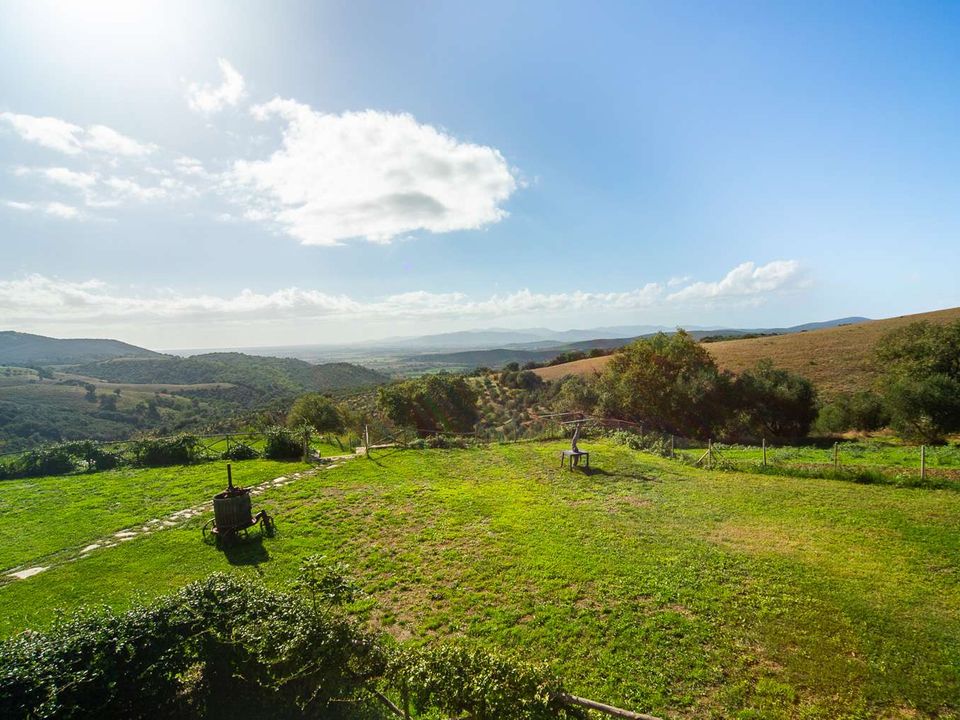 Villa a Campagnatico, Grosseto - foto 5