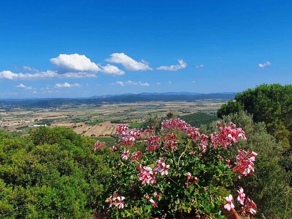 Boerderij in Suvereto, Livorno - foto 4