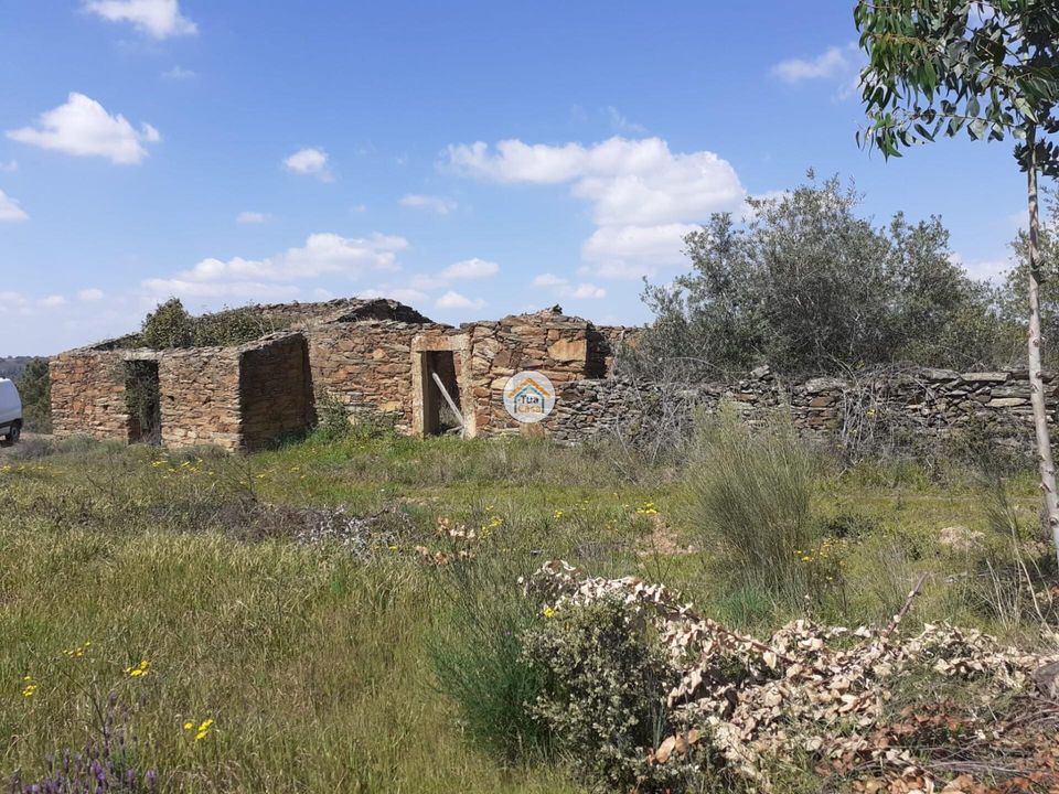 Herregård i Castelo Branco, Castelo Branco - bilde 3