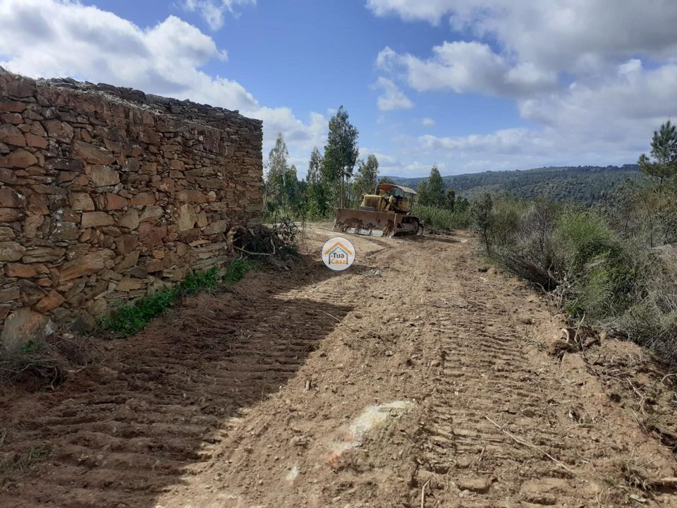 Herregård i Castelo Branco, Castelo Branco - bilde 5
