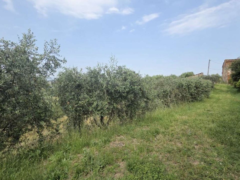 Farm hus i Montecarlo, Lucca - foto 4