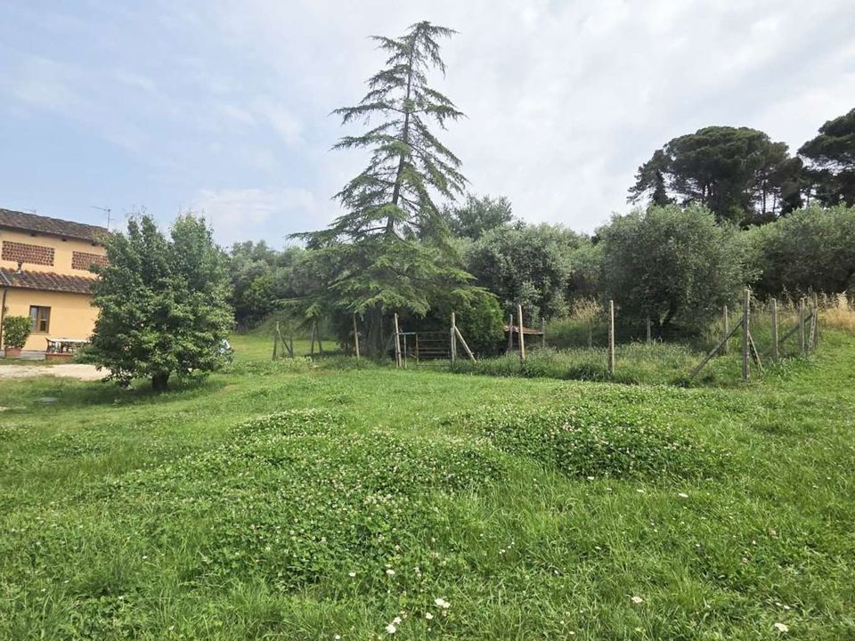 Farm hus i Montecarlo, Lucca - foto 5