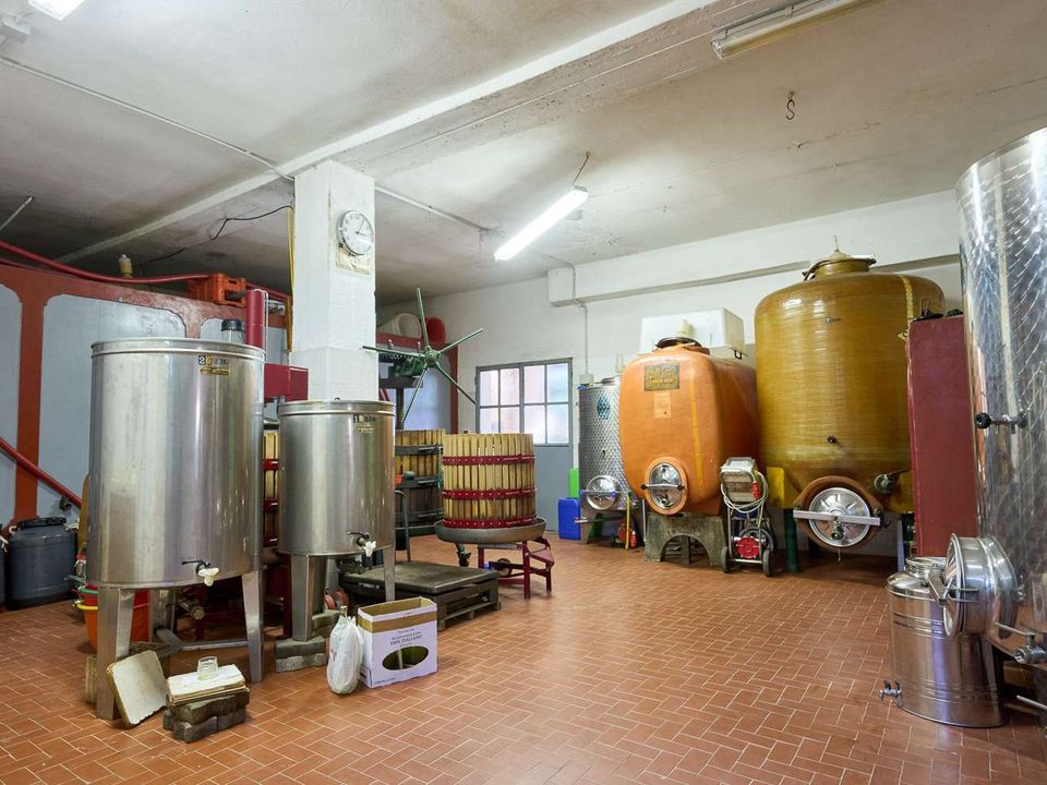 Villa in Empoli, Florence - foto 4