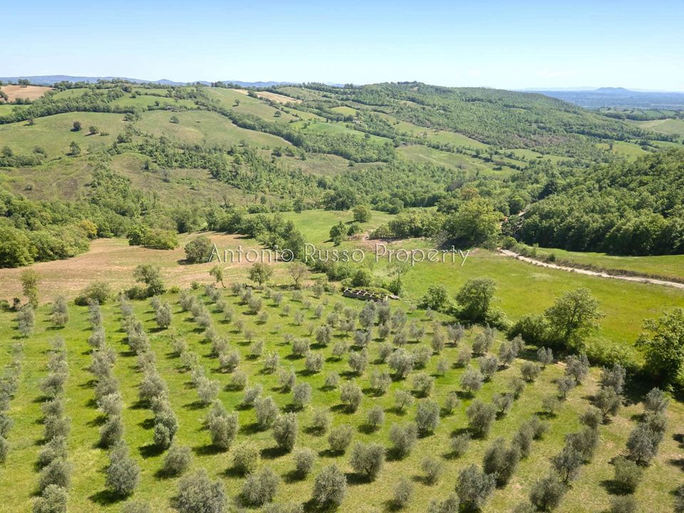 Villa i Saturnia, Grosseto - foto 5