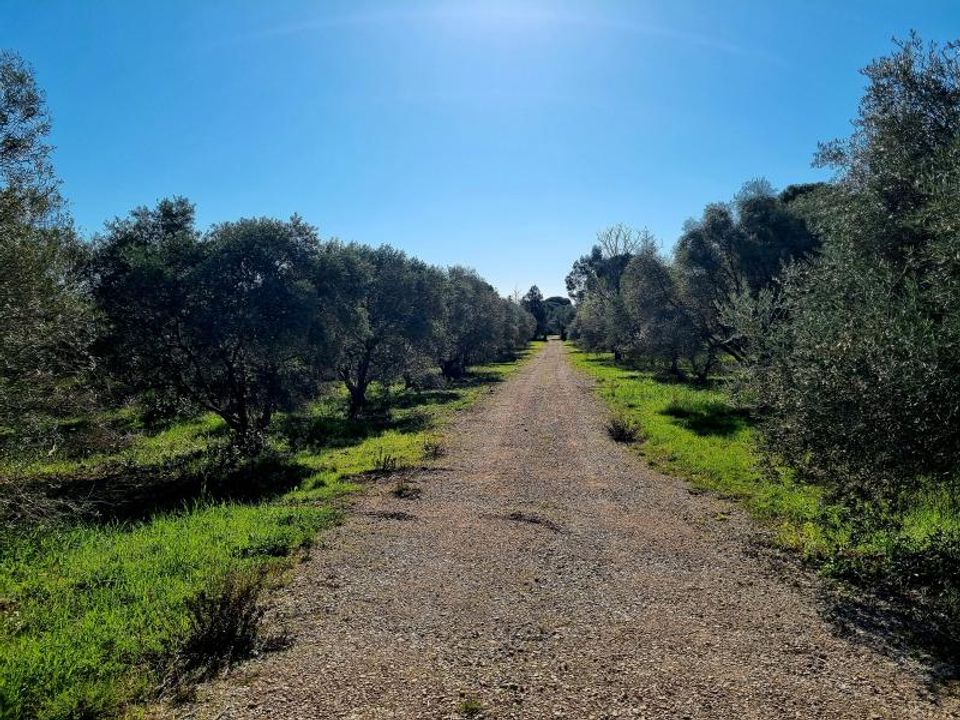 Helårsgrund i Ceyras, Herault - foto 1