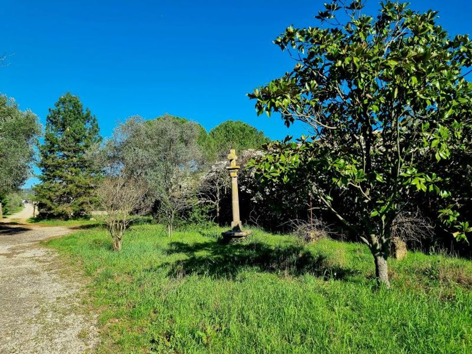 Helårsgrund i Ceyras, Herault - foto 3