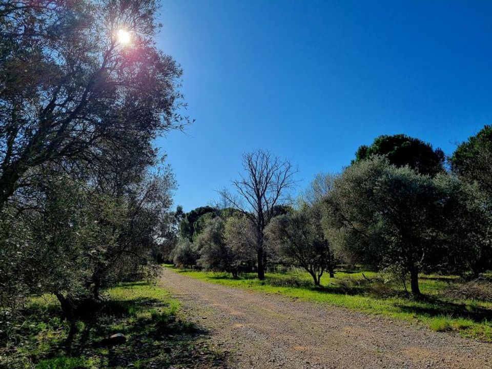 Helårsgrund i Ceyras, Herault - foto 4