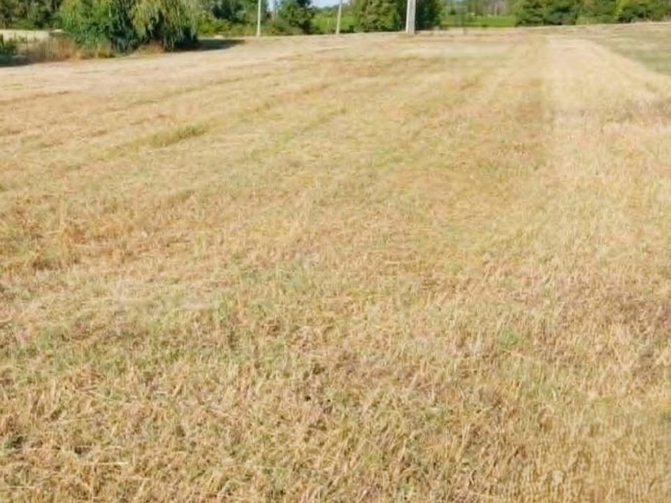 Działka: Eyrans, Gironde – zdjęcie 3