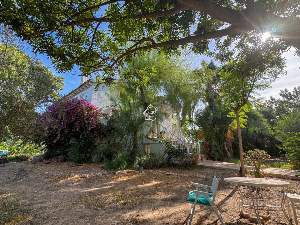 Villa i Torrevieja, Alicante - foto 4