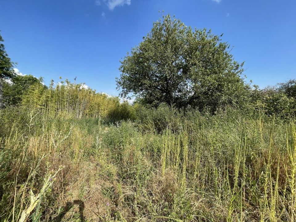 Terra em Saint-Ignat, Puy-de-Dome - foto 4